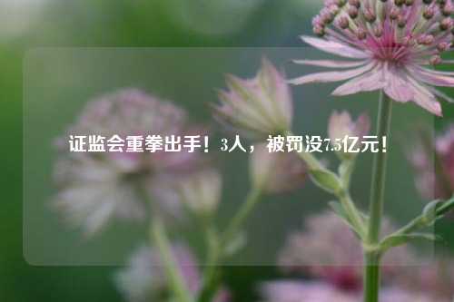证监会重拳出手！3人	，被罚没7.5亿元！  第1张