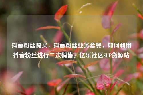 抖音粉丝购买	，抖音粉丝业务套餐，如何利用抖音粉丝进行二次销售？亿乐社区SUP货源站  第1张