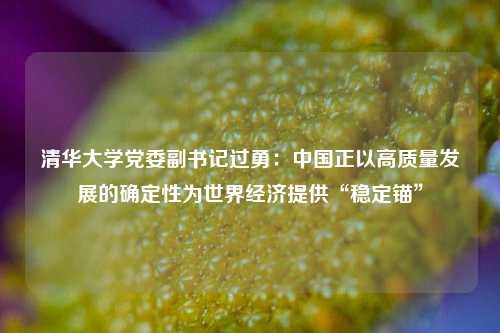 清华大学党委副书记过勇：中国正以高质量发展的确定性为世界经济提供“稳定锚	”  第1张