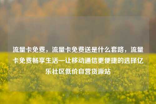 流量卡免费，流量卡免费送是什么套路，流量卡免费畅享生活—让移动通信更便捷的选择亿乐社区低价自营货源站  第1张