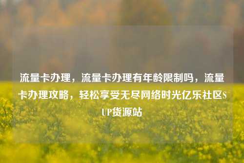 流量卡办理	，流量卡办理有年龄限制吗，流量卡办理攻略，轻松享受无尽网络时光亿乐社区SUP货源站  第1张