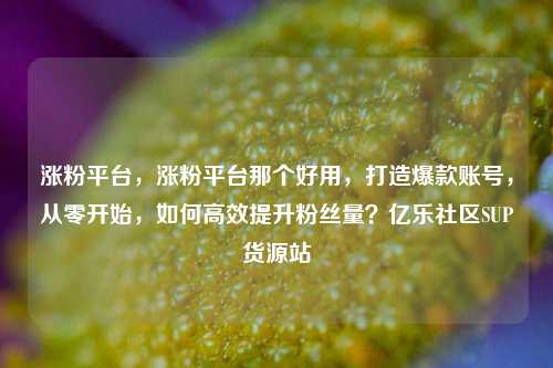 涨粉平台	，涨粉平台那个好用，打造爆款账号，从零开始	，如何高效提升粉丝量？亿乐社区SUP货源站  第1张
