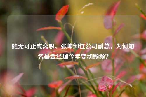 鲍无可正式离职、张坤卸任公司副总，为何知名基金经理今年变动频频？  第1张