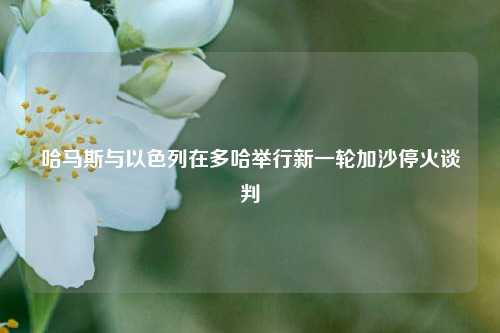 哈马斯与以色列在多哈举行新一轮加沙停火谈判  第1张