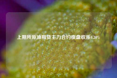 上期所原油期货主力合约夜盘收涨0.30%  第1张