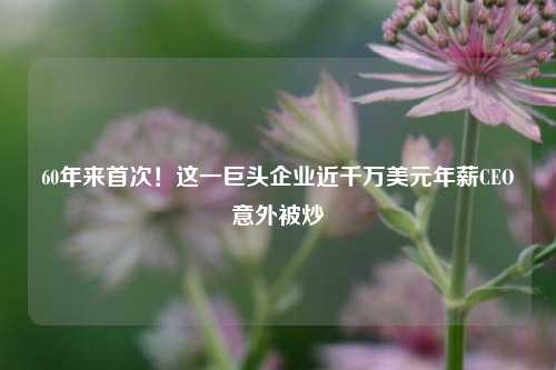60年来首次！这一巨头企业近千万美元年薪CEO意外被炒  第1张