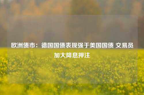 欧洲债市:德国国债表现强于美国国债 交易员加大降息押注  第1张 欧洲债市:德国国债表现强于美国国债 交易员加大降息押注  第1张