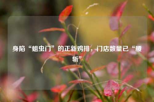 身陷“蛆虫门	”的正新鸡排，门店数量已“腰斩”  第1张