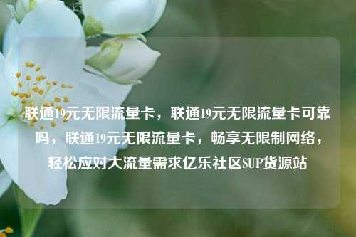 联通19元无限流量卡，联通19元无限流量卡可靠吗，联通19元无限流量卡	，畅享无限制网络，轻松应对大流量需求亿乐社区SUP货源站  第1张