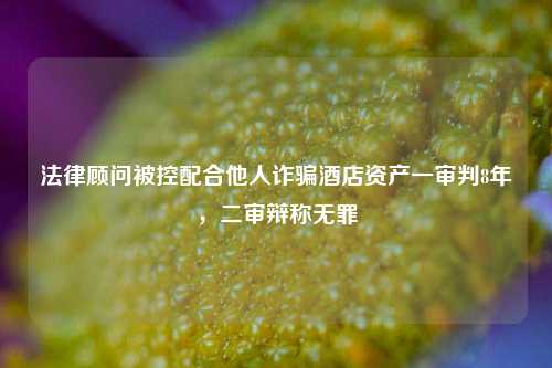 法律顾问被控配合他人诈骗酒店资产一审判8年，二审辩称无罪  第1张