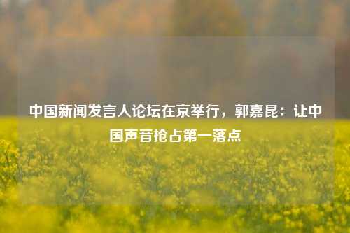中国新闻发言人论坛在京举行，郭嘉昆：让中国声音抢占第一落点  第1张