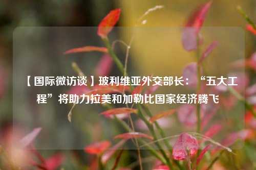 【国际微访谈】玻利维亚外交部长：“五大工程”将助力拉美和加勒比国家经济腾飞  第1张