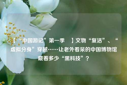 【“中国游记	”第一季㉙】文物“复活”、“虚拟分身”穿越……让老外看呆的中国博物馆藏着多少“黑科技	”？  第1张