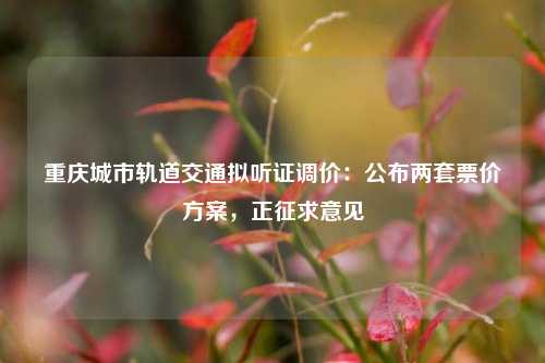 重庆城市轨道交通拟听证调价：公布两套票价方案	，正征求意见  第1张