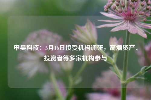 申昊科技：5月16日接受机构调研，高熵资产、投资者等多家机构参与  第1张