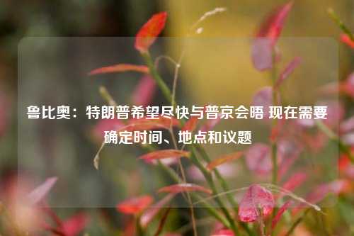 鲁比奥：特朗普希望尽快与普京会晤 现在需要确定时间、地点和议题  第1张