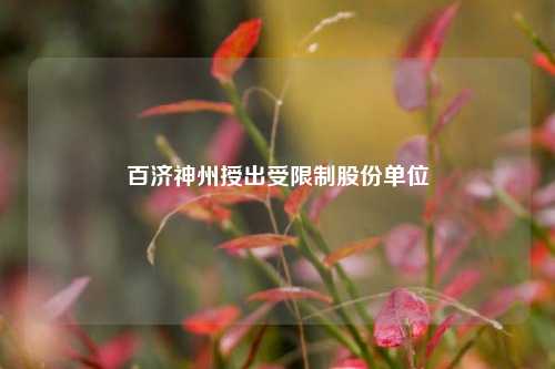 百济神州授出受限制股份单位  第1张