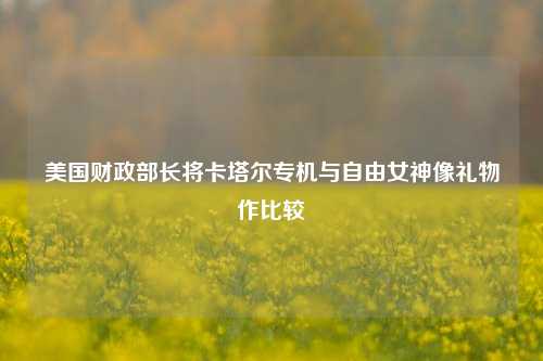 美国财政部长将卡塔尔专机与自由女神像礼物作比较  第1张