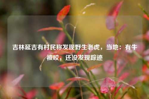 吉林延吉有村民称发现野生老虎，当地：有牛被咬，还没发现踪迹  第1张