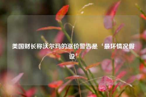 美国财长称沃尔玛的涨价警告是‘最坏情况假设’  第1张