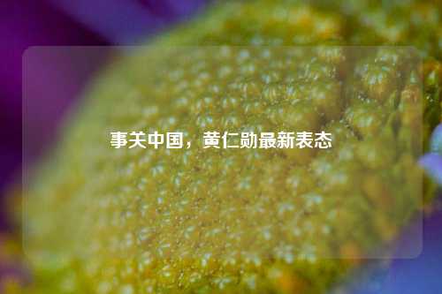 事关中国	，黄仁勋最新表态  第1张
