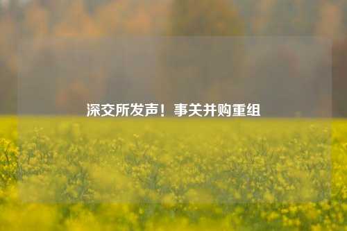 深交所发声！事关并购重组  第1张