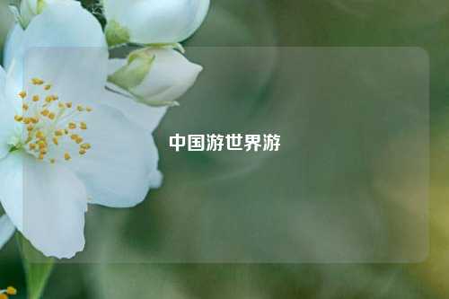 中国游世界游  第1张