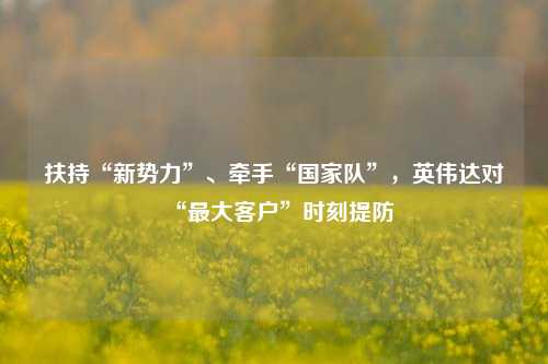 扶持“新势力”、牵手“国家队”，英伟达对“最大客户	”时刻提防  第1张
