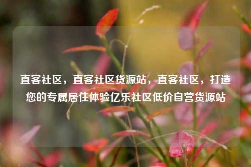 直客社区，直客社区货源站	，直客社区，打造您的专属居住体验亿乐社区低价自营货源站  第1张