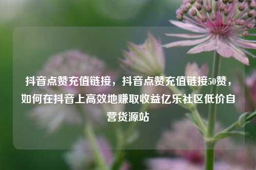 抖音点赞充值链接，抖音点赞充值链接50赞，如何在抖音上高效地赚取收益亿乐社区低价自营货源站  第1张