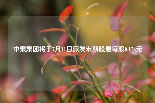 中集集团将于7月11日派发末期股息每股0.176元  第1张
