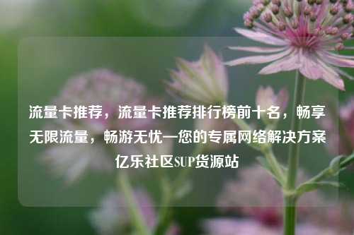 流量卡推荐，流量卡推荐排行榜前十名，畅享无限流量	，畅游无忧—您的专属网络解决方案亿乐社区SUP货源站  第1张