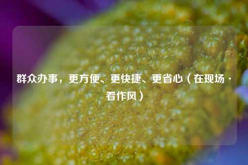 群众办事	，更方便	、更快捷、更省心（在现场·看作风）  第1张