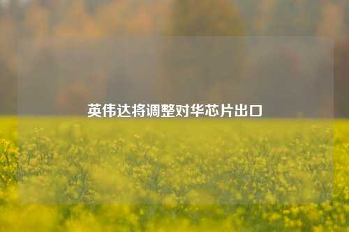 英伟达将调整对华芯片出口  第1张