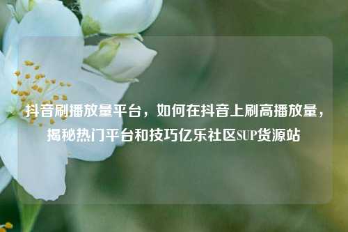 抖音刷播放量平台，如何在抖音上刷高播放量，揭秘热门平台和技巧亿乐社区SUP货源站  第1张