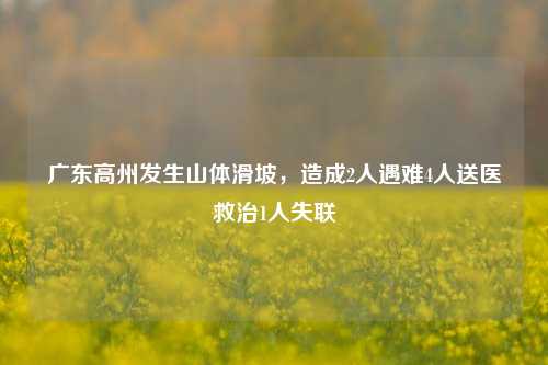 广东高州发生山体滑坡，造成2人遇难4人送医救治1人失联  第1张