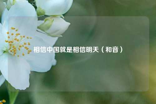 相信中国就是相信明天（和音）  第1张