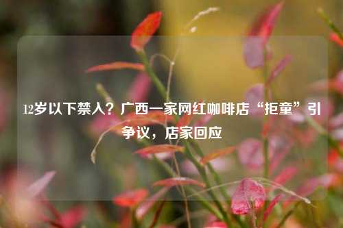 12岁以下禁入？广西一家网红咖啡店“拒童”引争议，店家回应  第1张