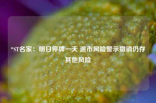 *ST名家：明日停牌一天 退市风险警示撤销仍存其他风险  第1张