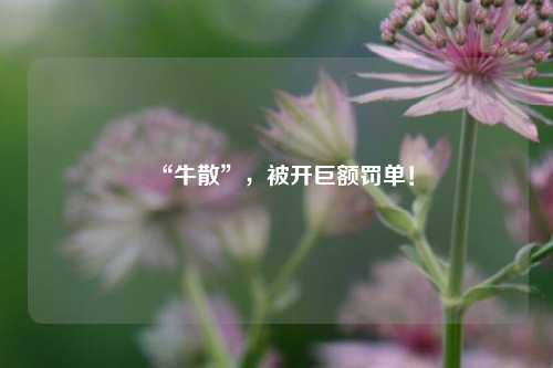 “牛散”，被开巨额罚单！  第1张