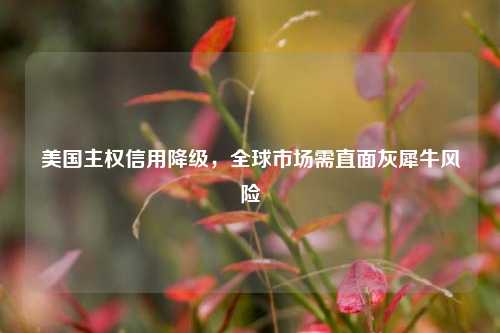 美国主权信用降级，全球市场需直面灰犀牛风险  第1张