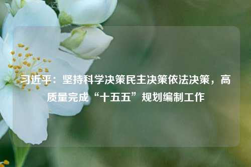 习近平：坚持科学决策民主决策依法决策	，高质量完成“十五五	”规划编制工作  第1张