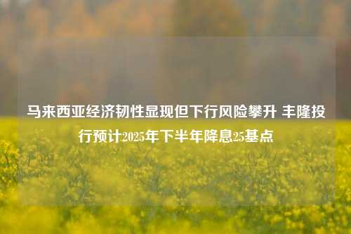 马来西亚经济韧性显现但下行风险攀升 丰隆投行预计2025年下半年降息25基点  第1张