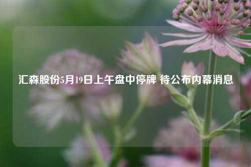 汇森股份5月19日上午盘中停牌 待公布内幕消息  第1张
