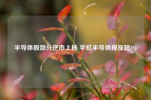 半导体股部分逆市上扬 华虹半导体现涨超4%  第1张