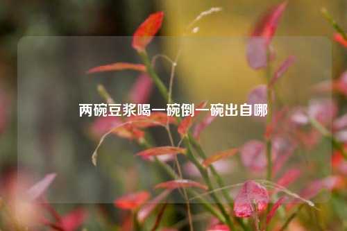 两碗豆浆喝一碗倒一碗出自哪  第1张