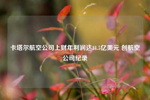 卡塔尔航空公司上财年利润达21.5亿美元 创航空公司纪录  第1张