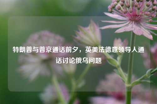 特朗普与普京通话前夕，英美法德意领导人通话讨论俄乌问题  第1张