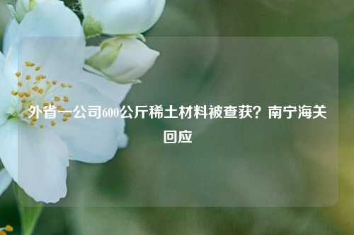 外省一公司600公斤稀土材料被查获？南宁海关回应  第1张
