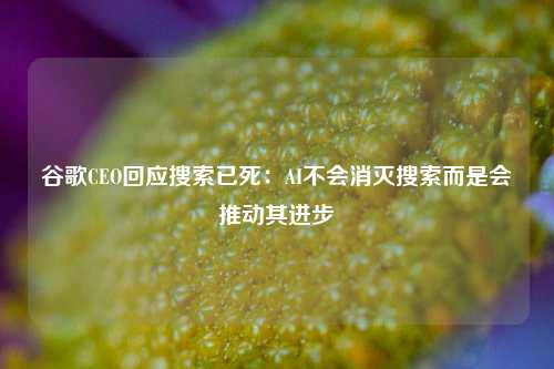 谷歌CEO回应搜索已死：AI不会消灭搜索而是会推动其进步  第1张